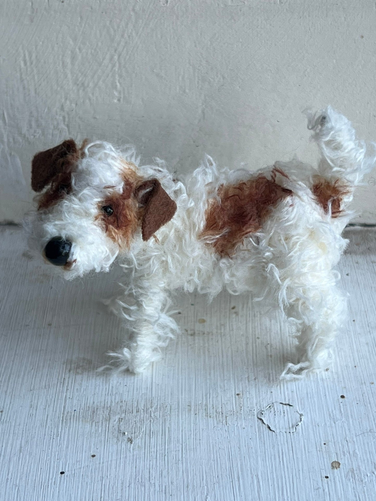 Wire-haired Jack Russell