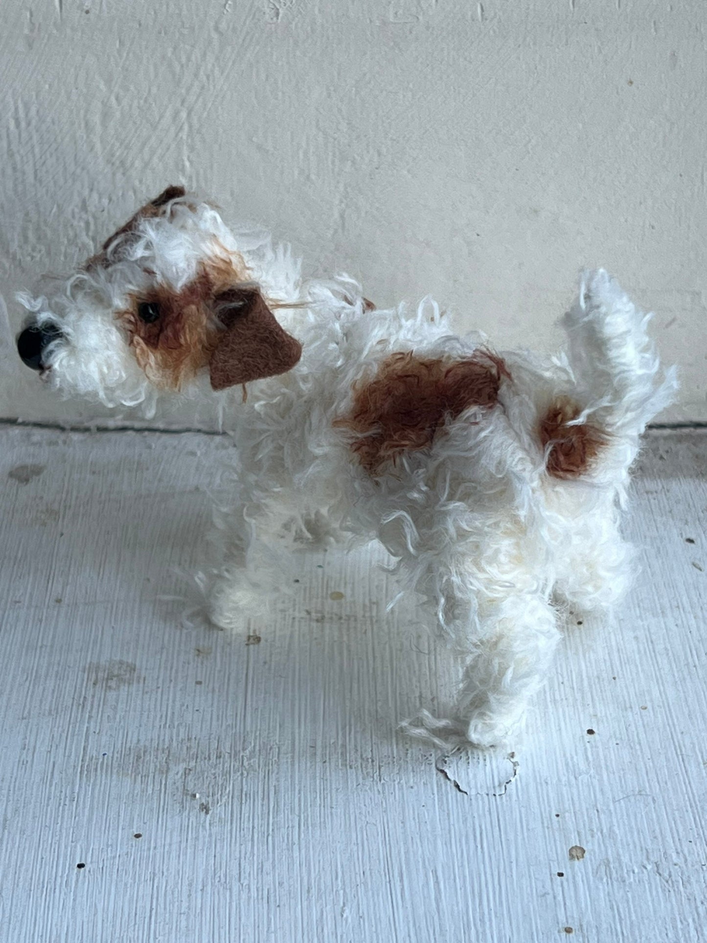 Wire-haired Jack Russell