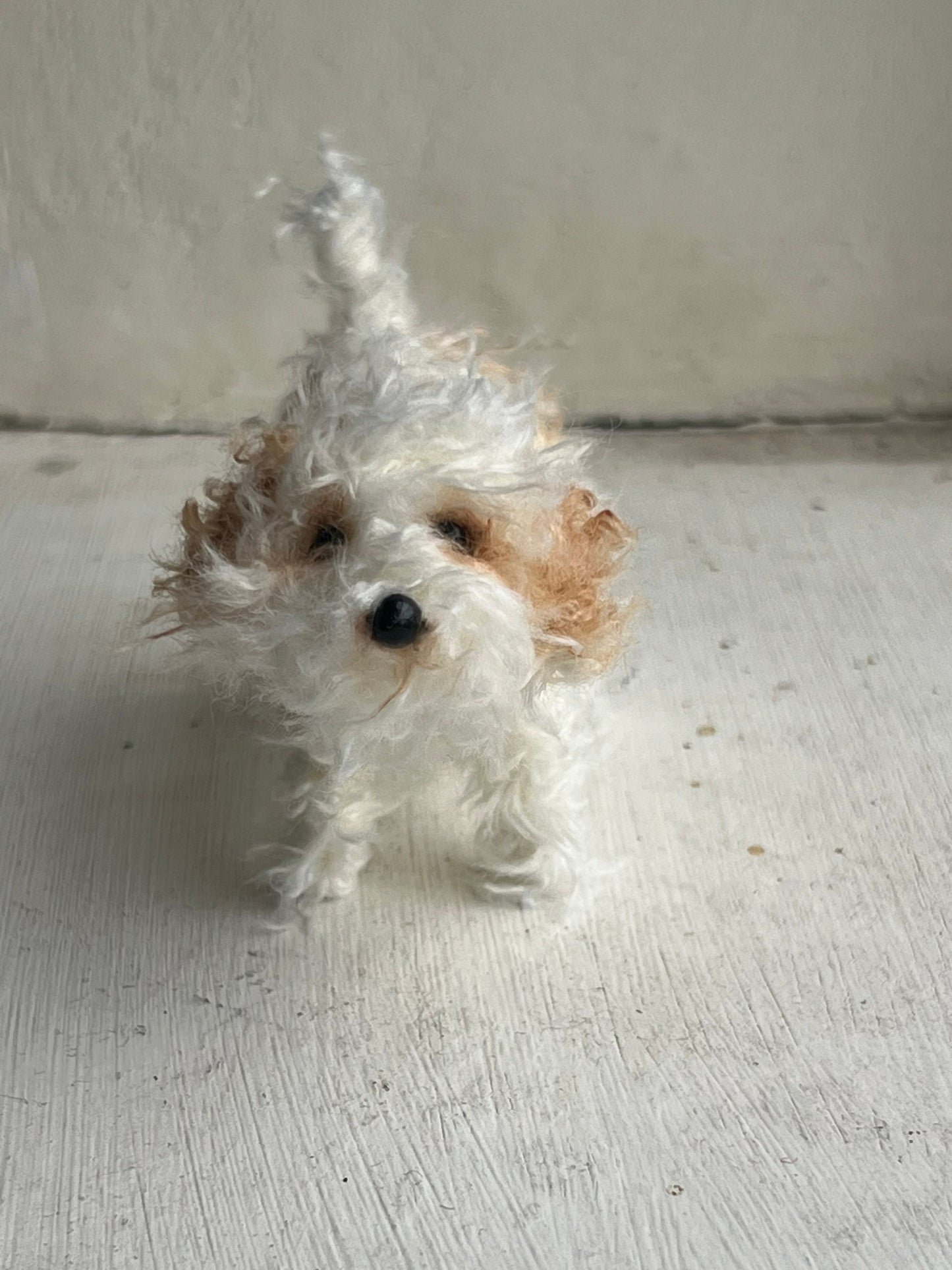 Cavachon decoration/miniature/ornament
