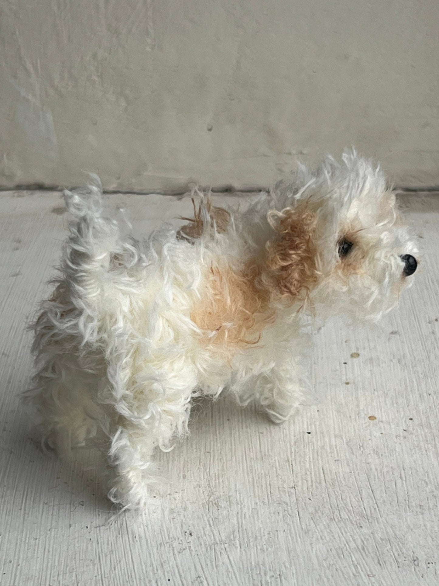 Cavachon decoration/miniature/ornament