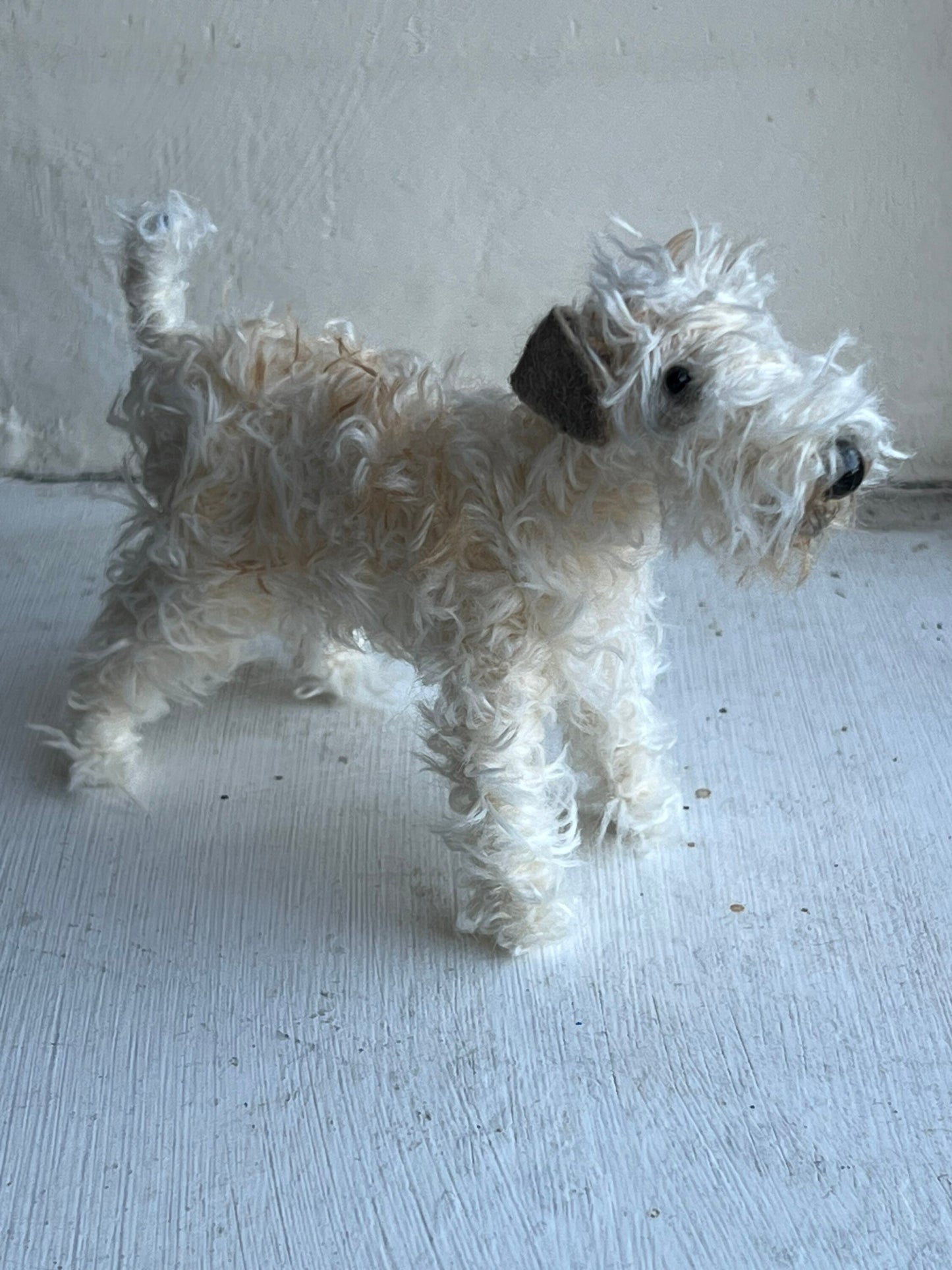 Wheaten Terrier miniature