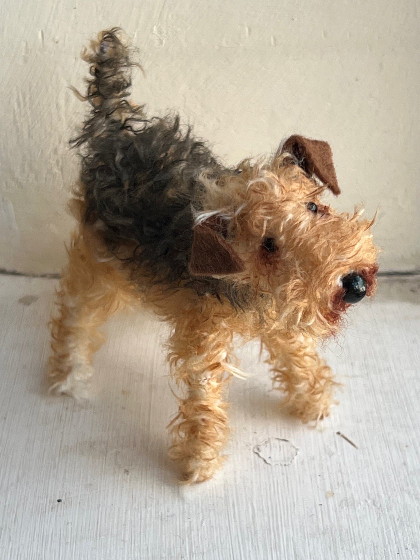 Airedale