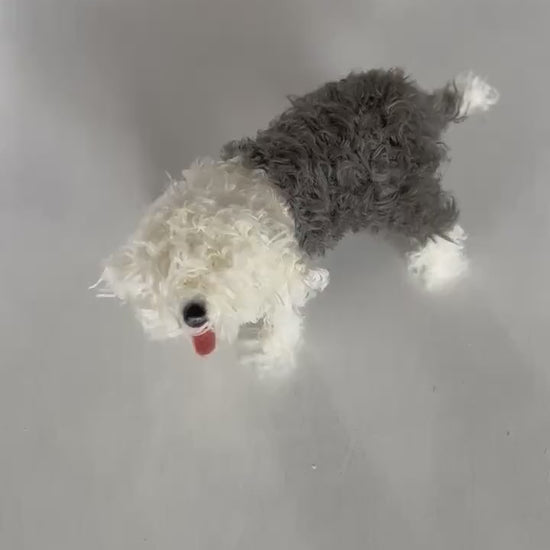 Old English Sheepdog model