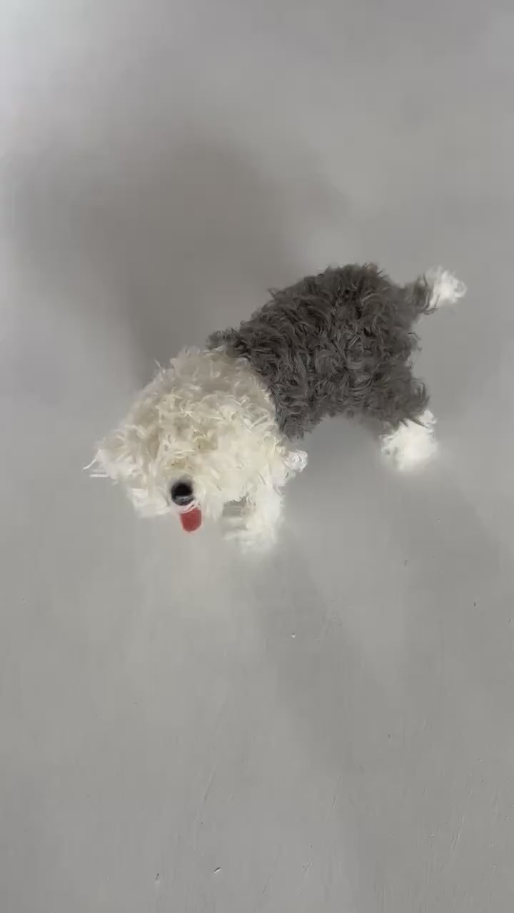 Old English Sheepdog model