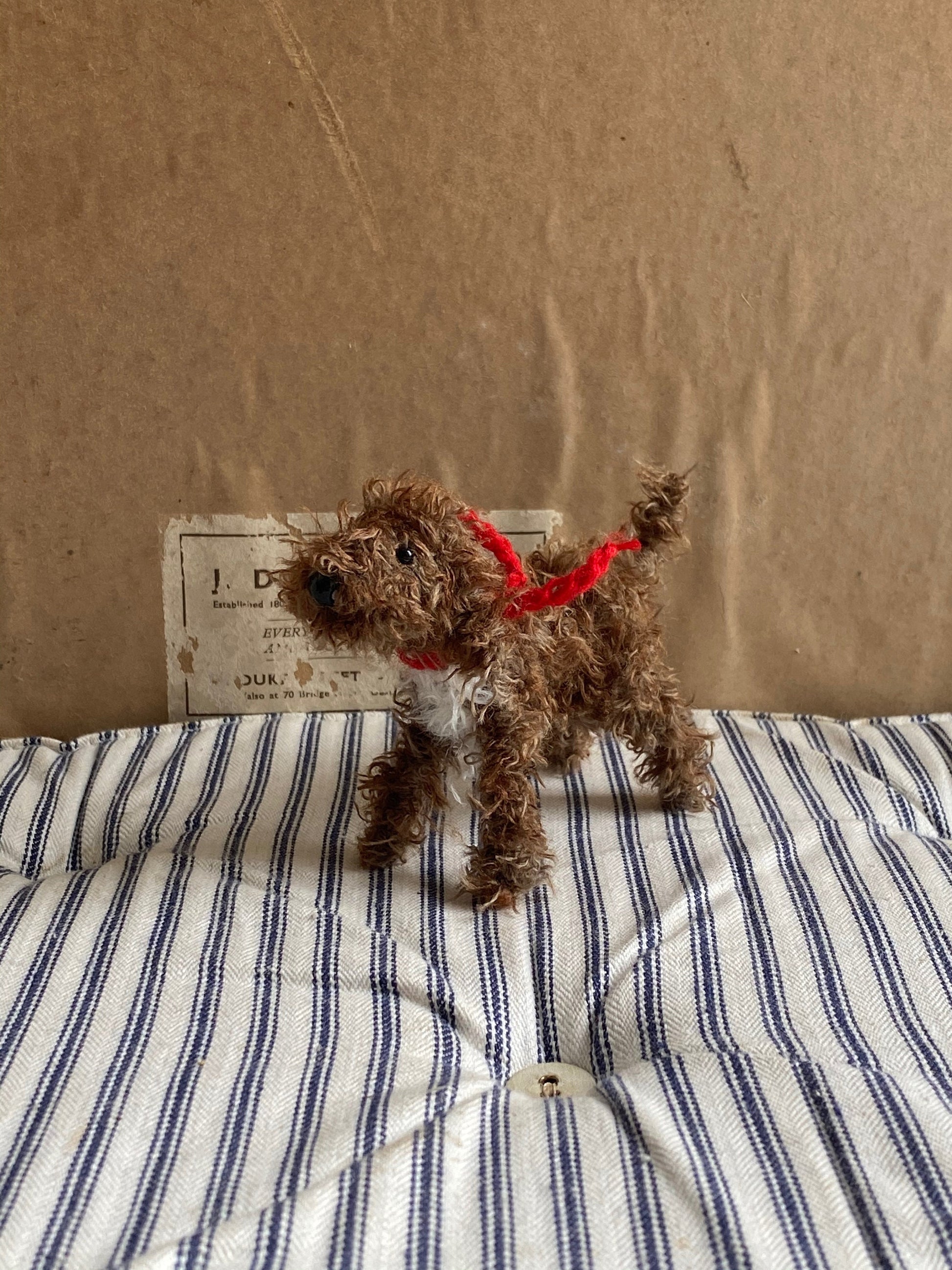 Brown Cockapoo, Cavapoo, Labradoodle. Poodlemix ornament.