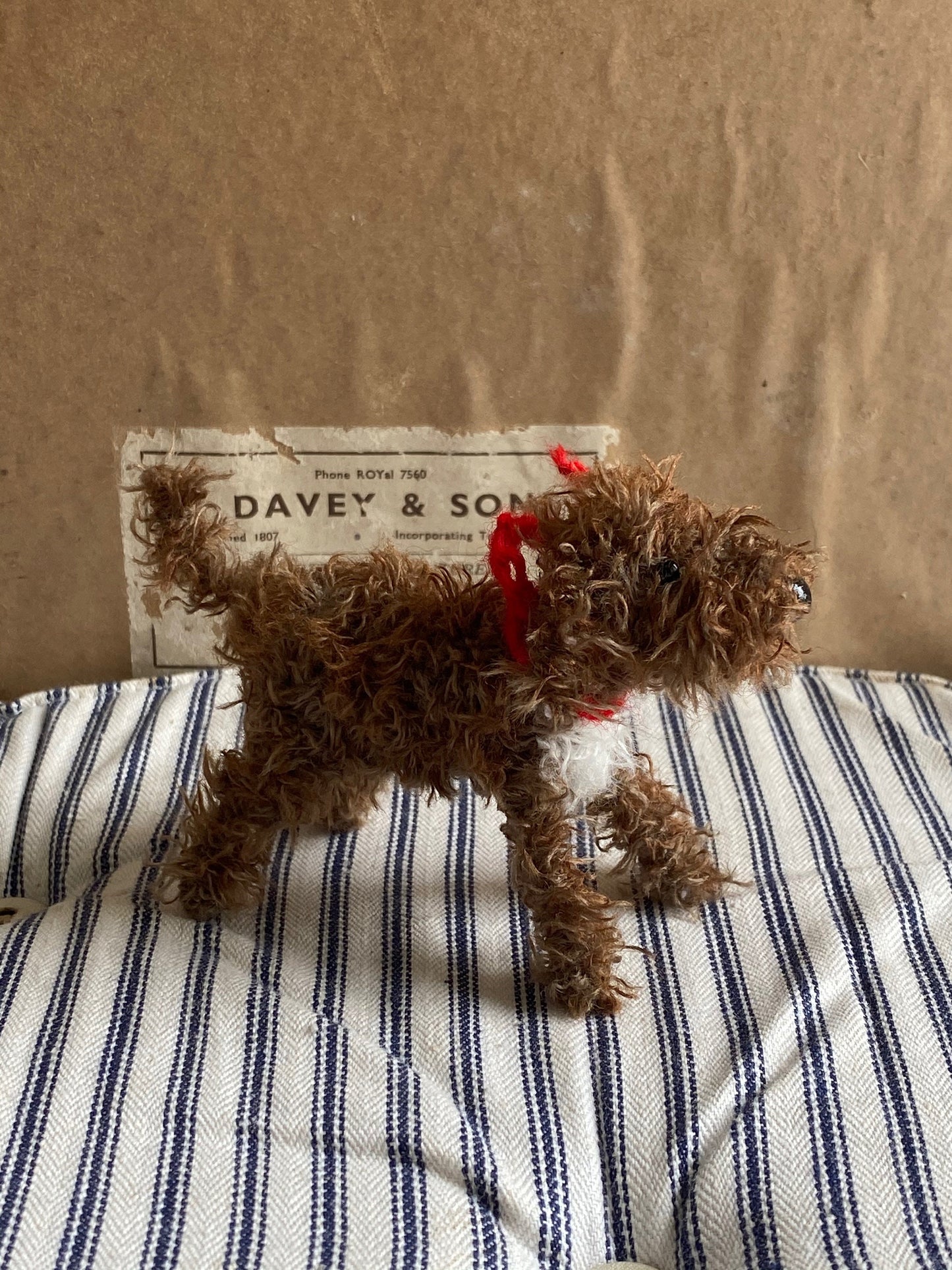 Brown Cockapoo, Cavapoo, Labradoodle. Poodlemix ornament.