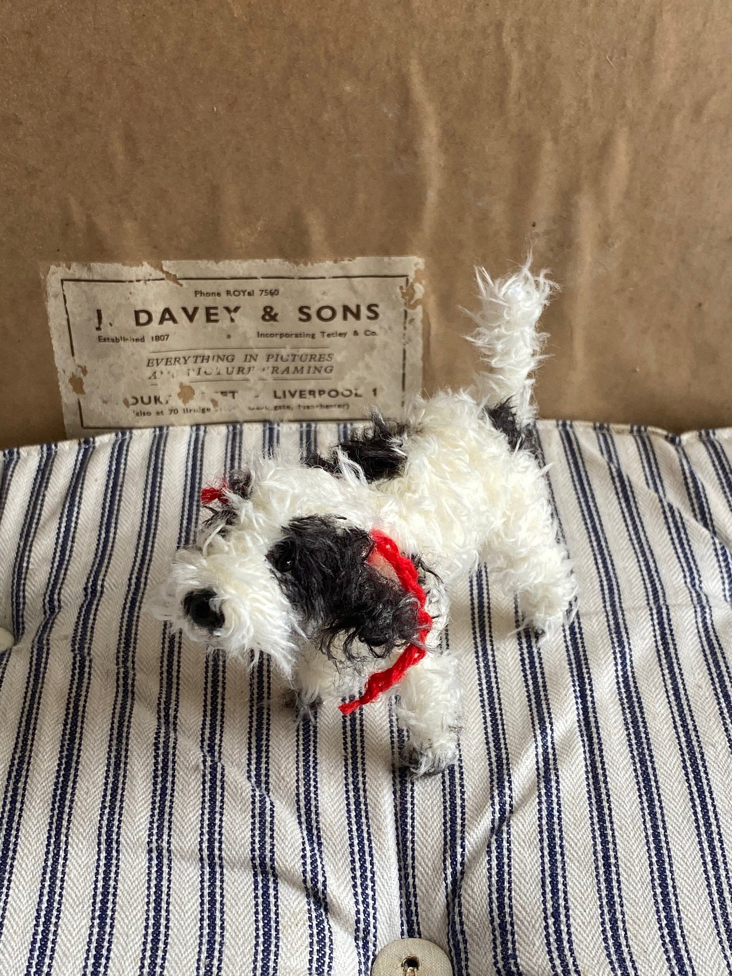 Handmade miniature black and white Cockapoo, Labradoodle, Cavapoo