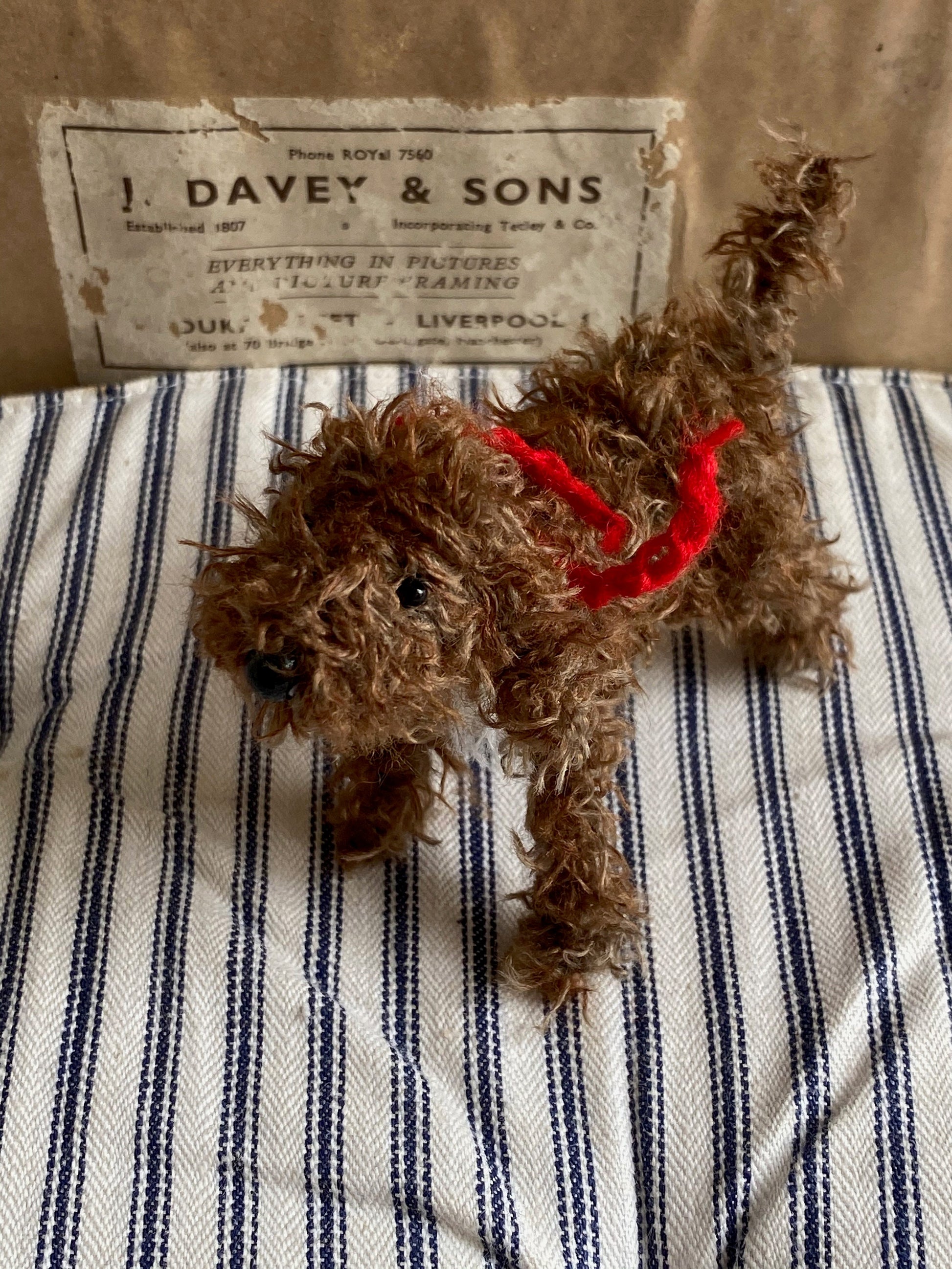 Brown Cockapoo, Cavapoo, Labradoodle. Poodlemix ornament.