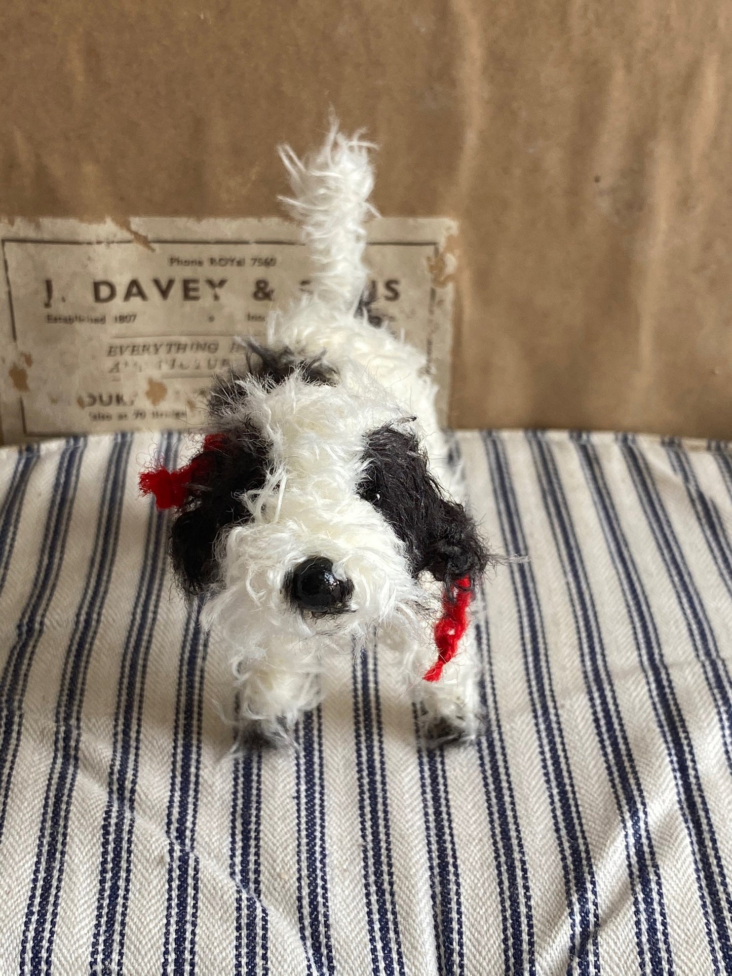 Handmade miniature black and white Cockapoo, Labradoodle, Cavapoo