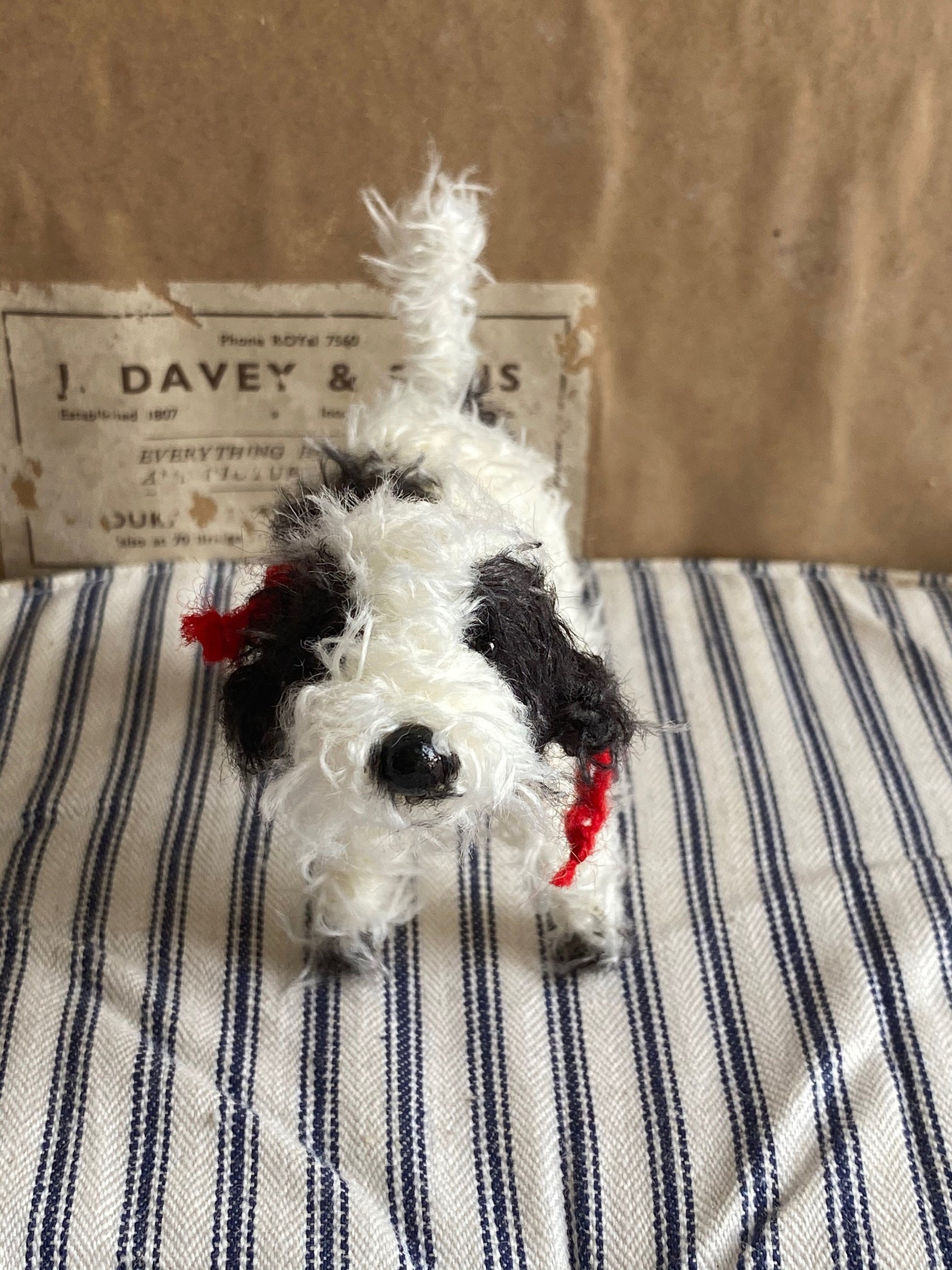 Handmade miniature black and white Cockapoo, Labradoodle, Cavapoo