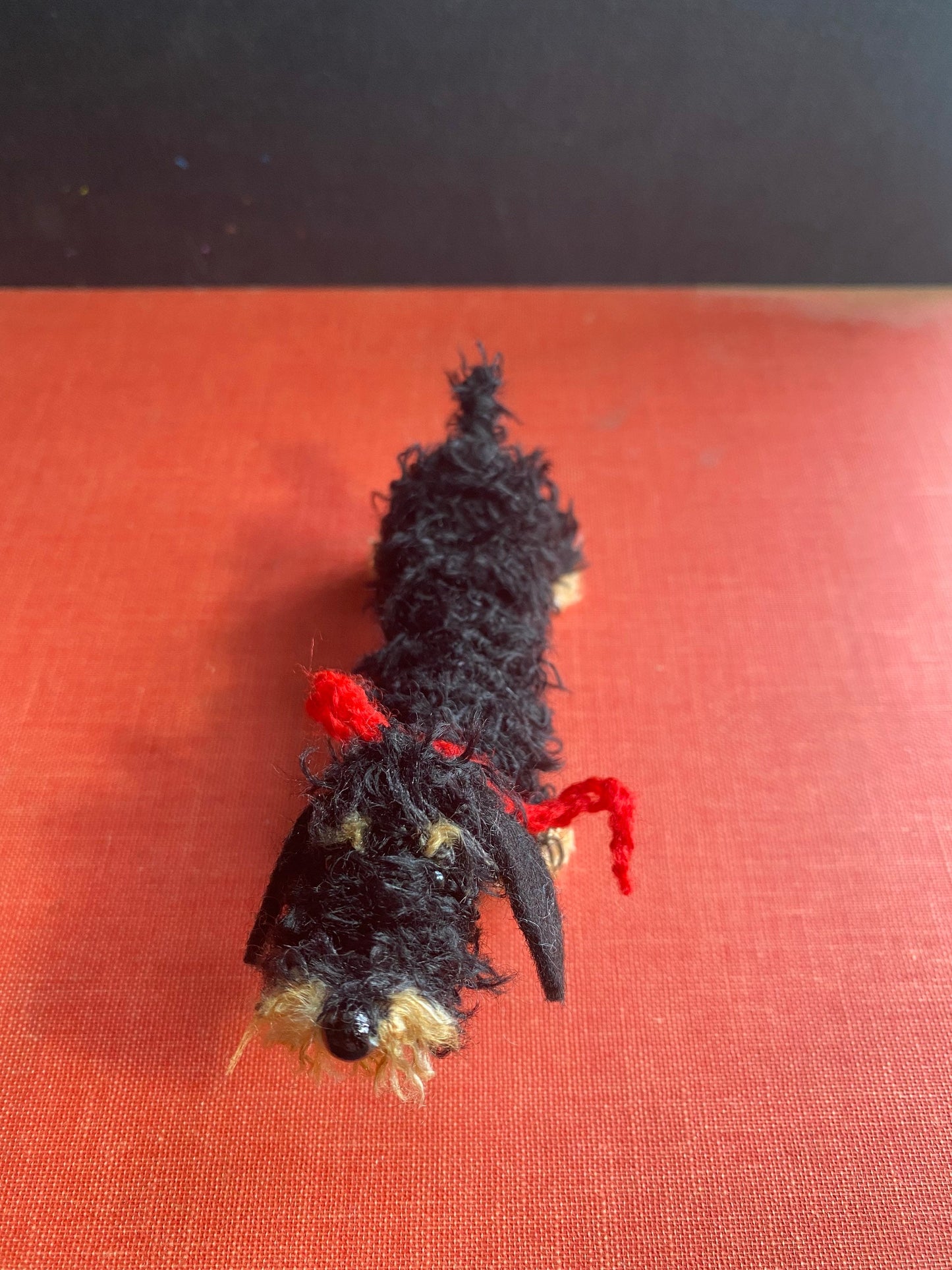 Wire haired Black and Tan Dachshund dog decoration