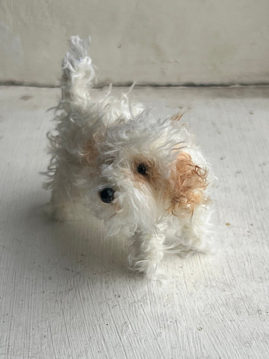 Cavachon decoration/miniature/ornament