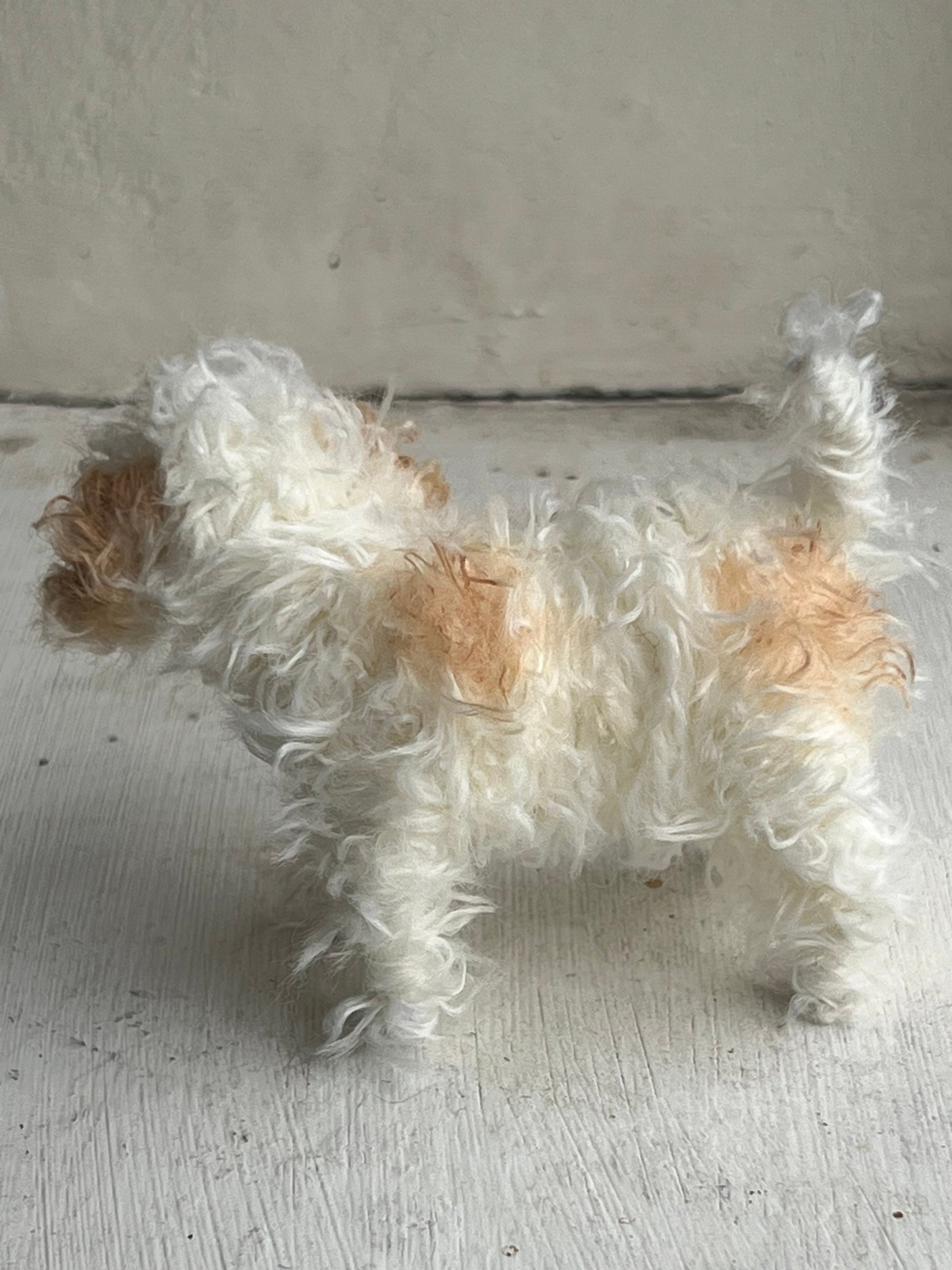 Cavachon decoration/miniature/ornament