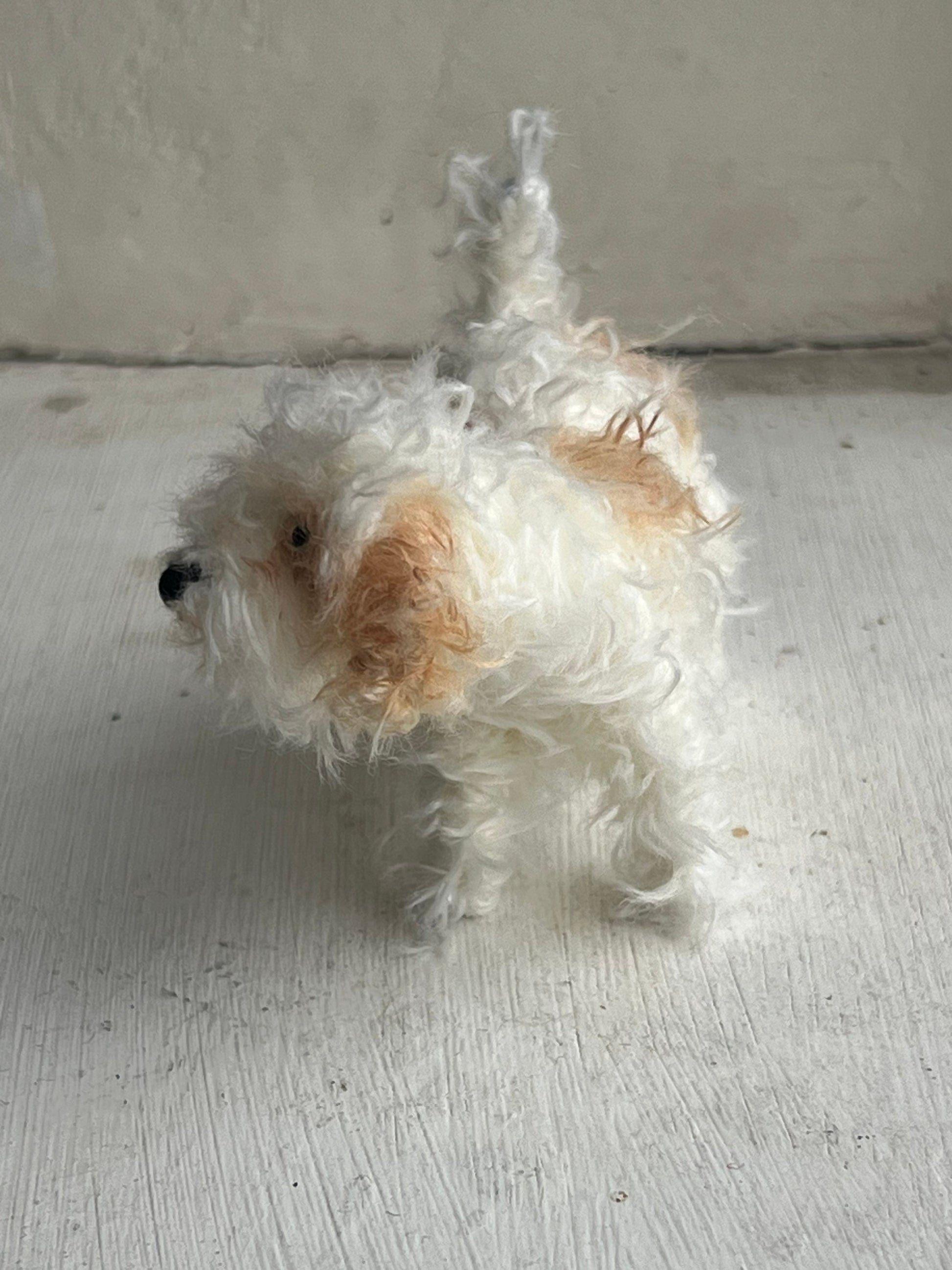 Cavachon decoration/miniature/ornament