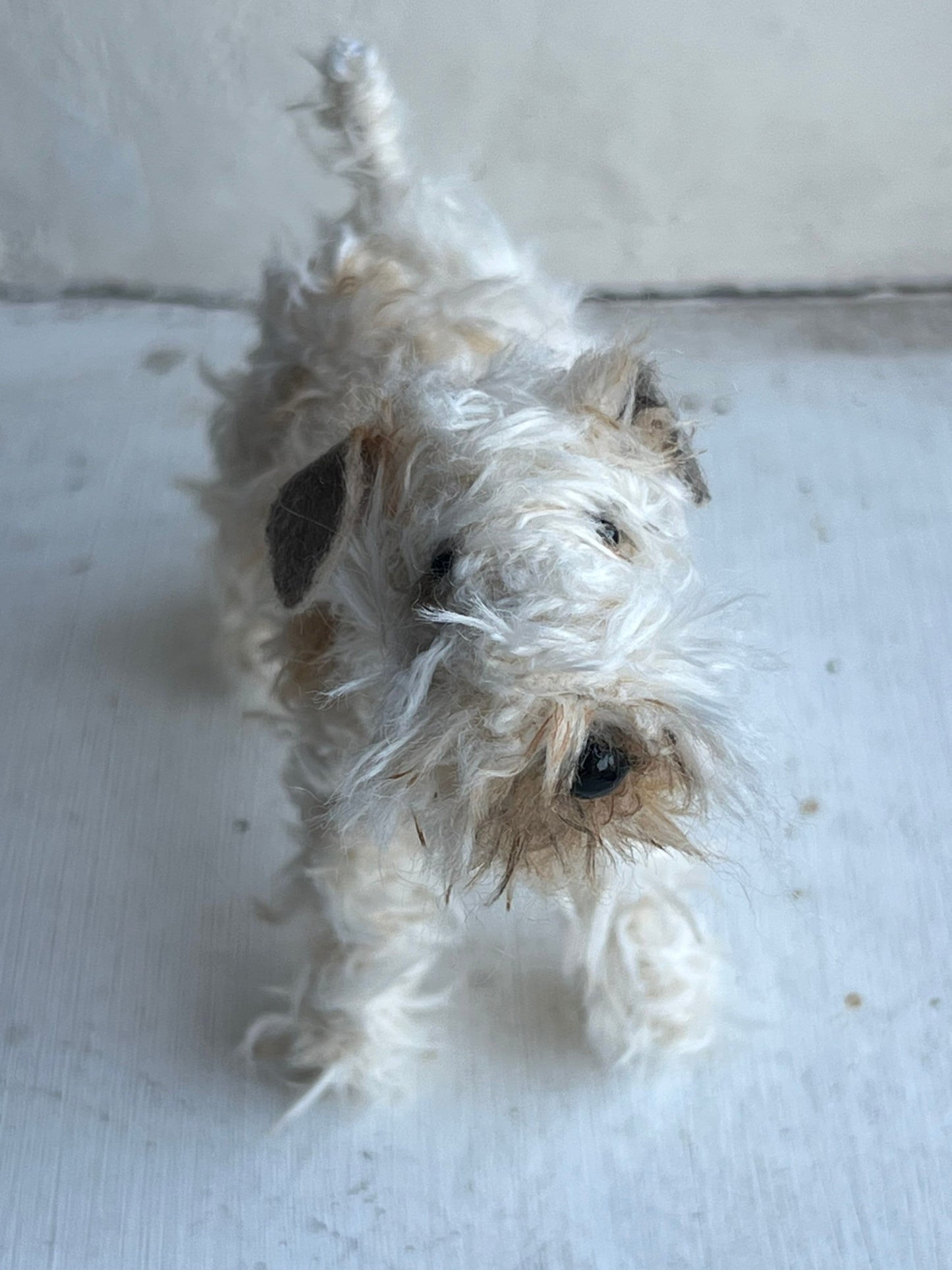 Wheaten Terrier miniature