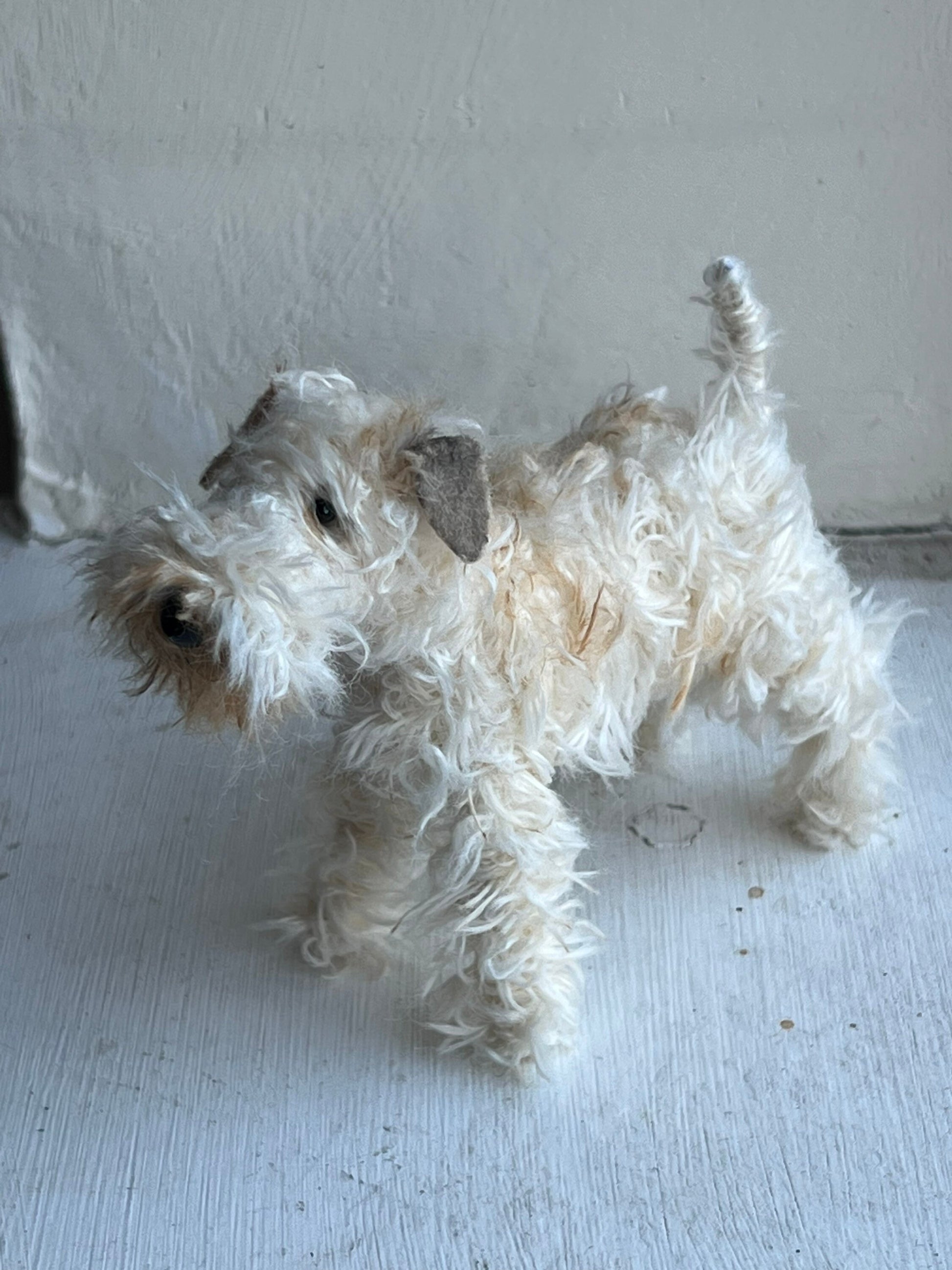 Wheaten Terrier miniature