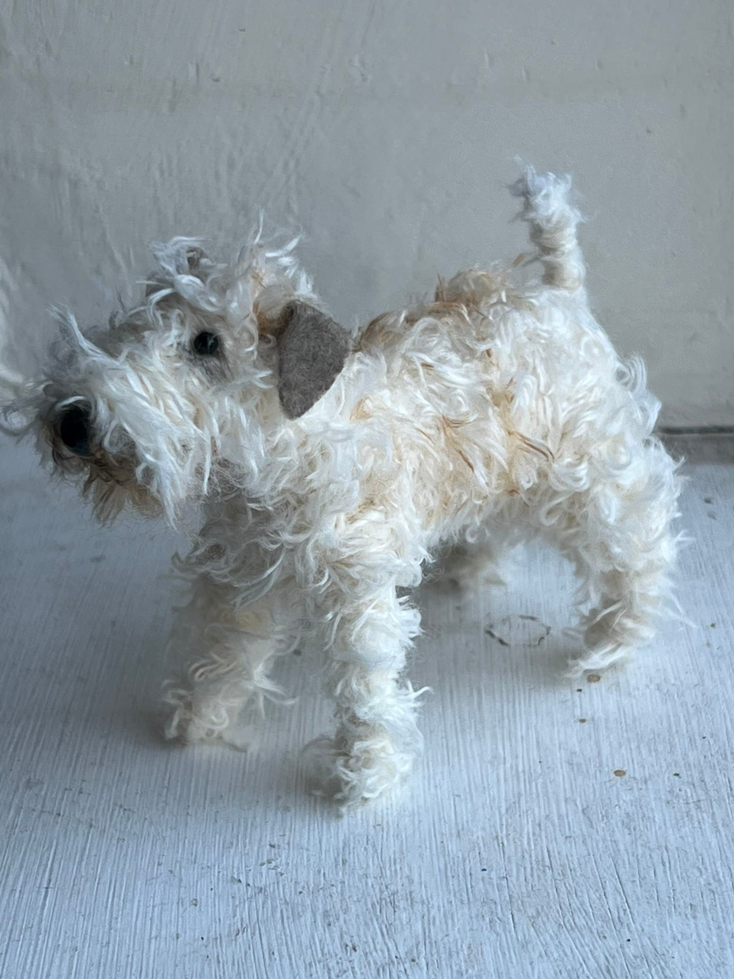 Wheaten Terrier miniature