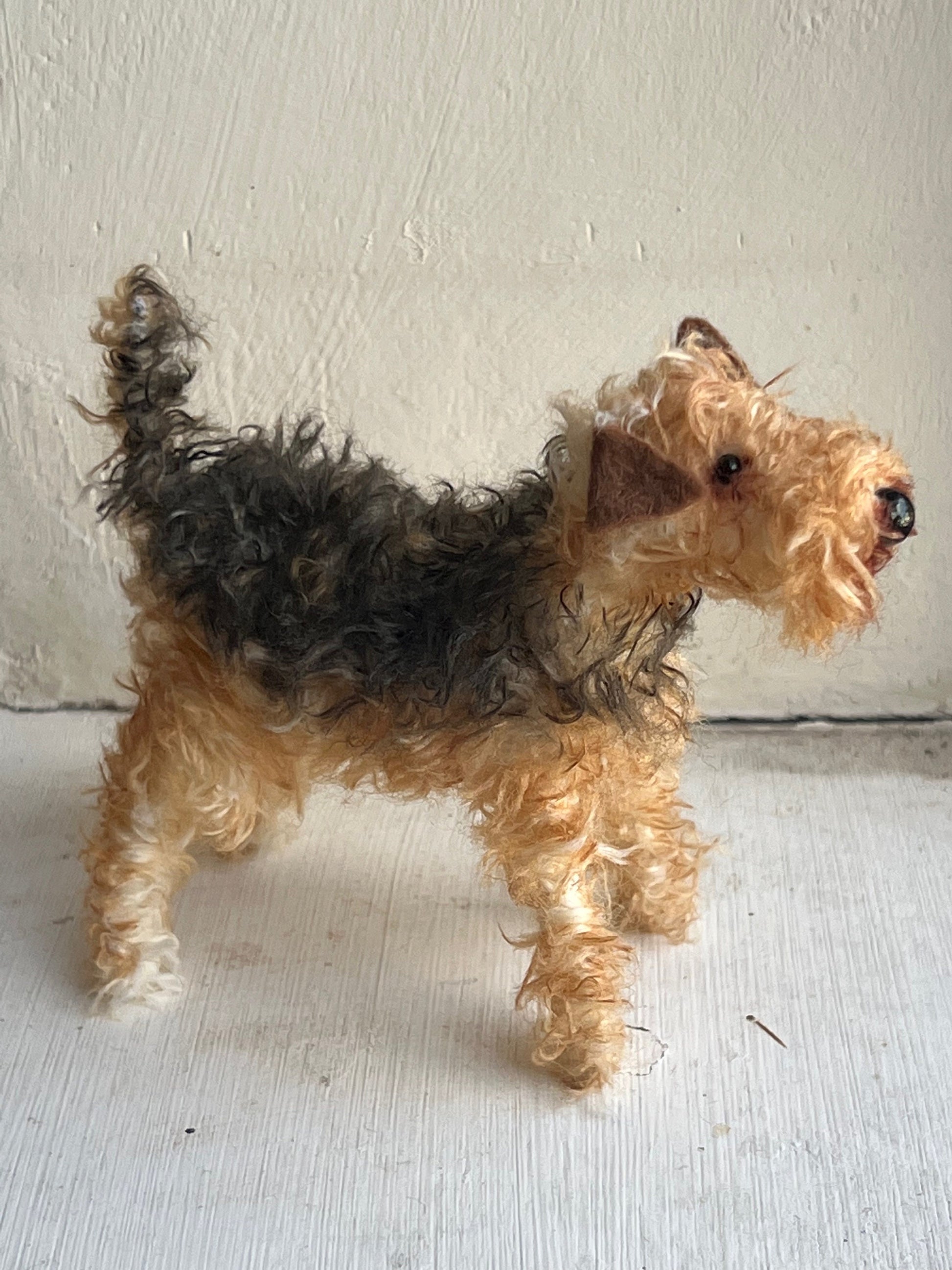 Airedale