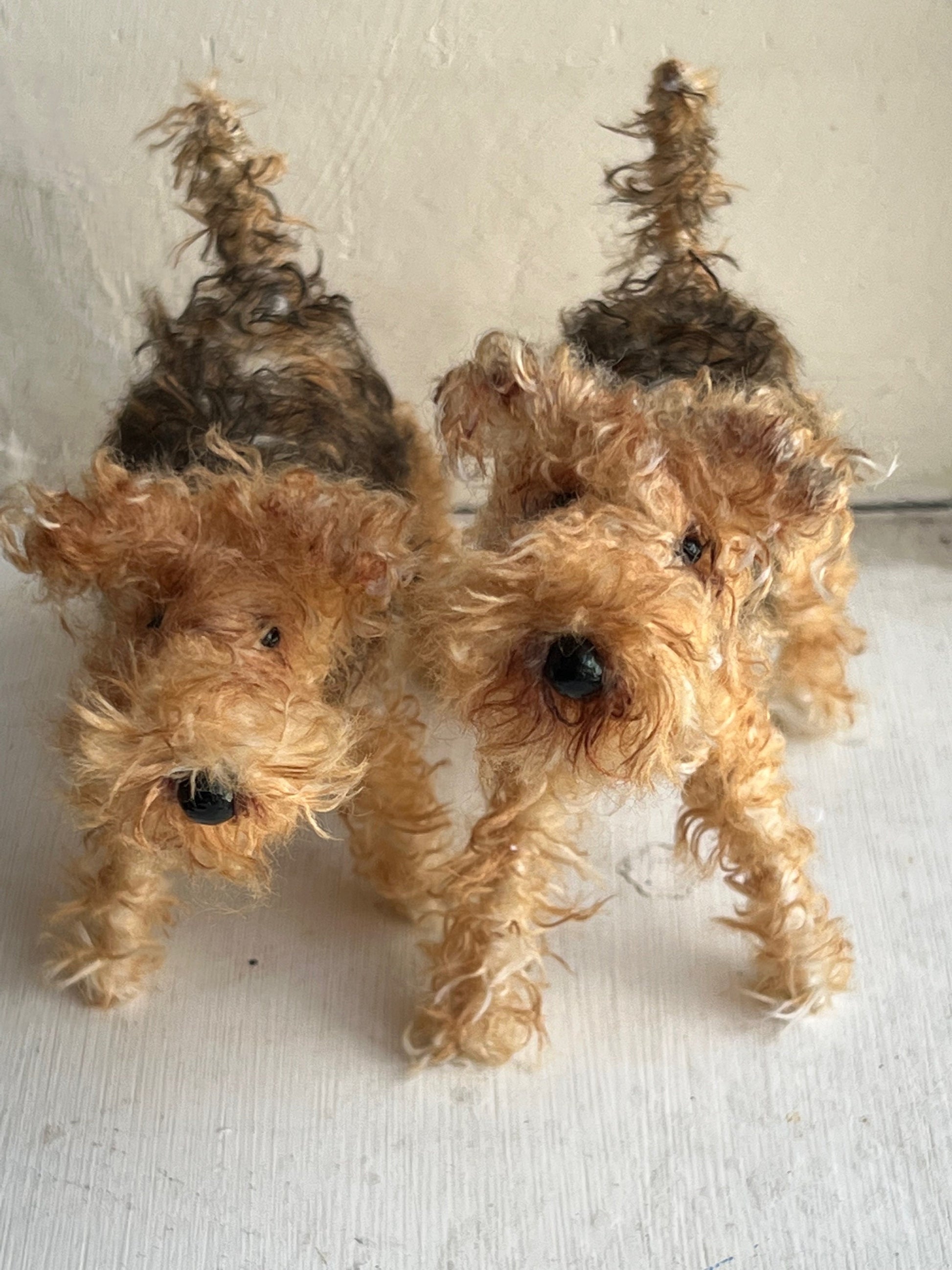 Airedale